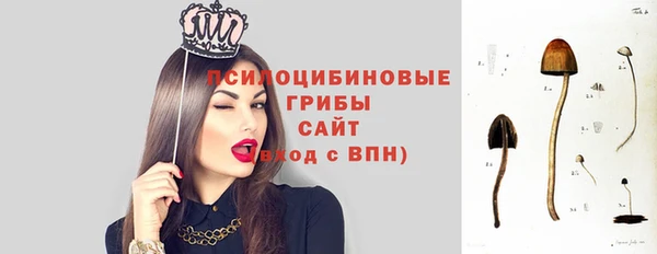 гашиш Пересвет